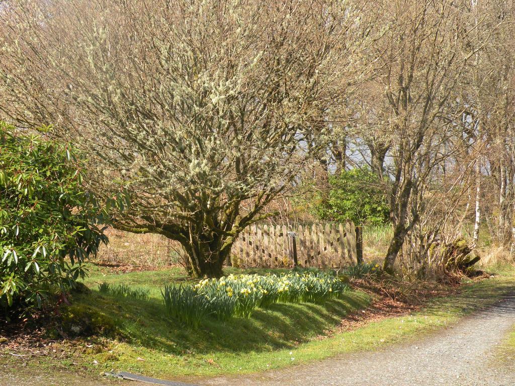 Mchugh And Loudon Cottages Saint Catherines Exterior foto